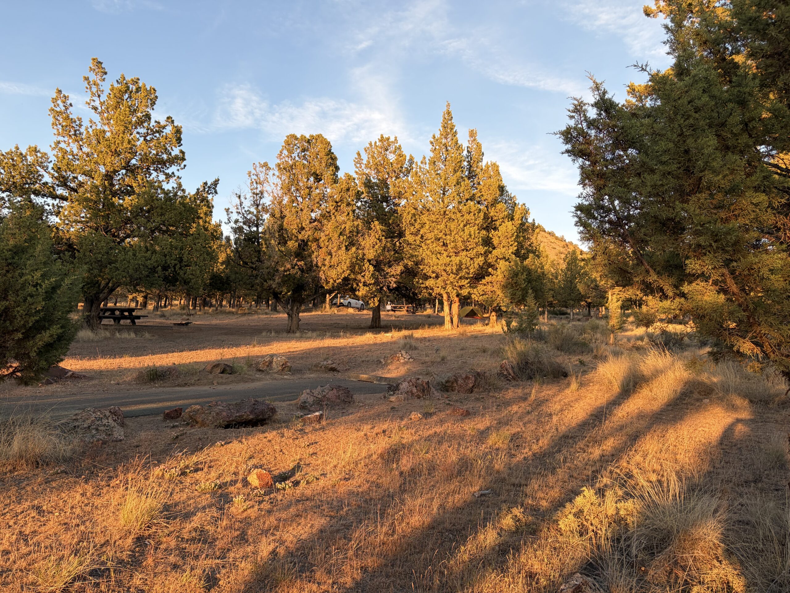 Early morning light at campsite near Haystack Reservoir Oregon with juniper trees casting long shadows across dry grass